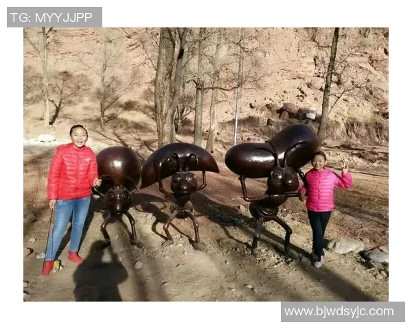 与赵军畅谈足球生涯的点滴回忆与成长历程