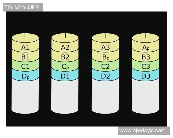 深入解析上海篮球队的技术表现与数据分析探讨