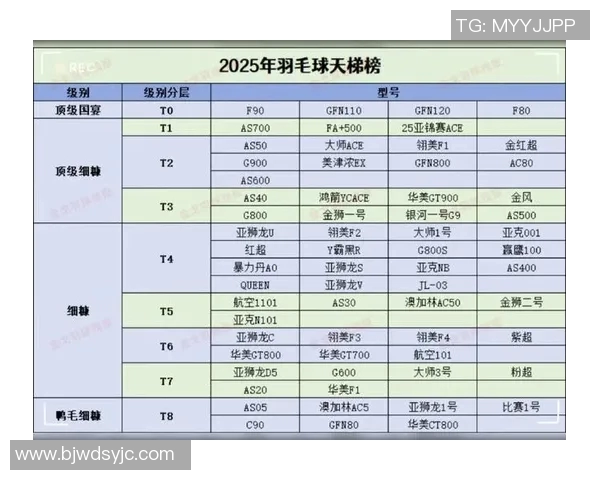 羽毛球状态排行榜揭晓杭州羽毛球队荣登榜首引关注