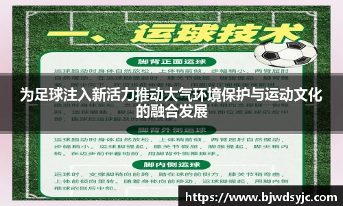 333体育全网最全